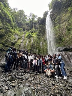 Silent Jungle Experience